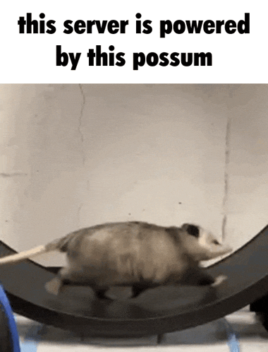 "this server is powered by this possum", and it's a possum running on one of those cat exercise wheels