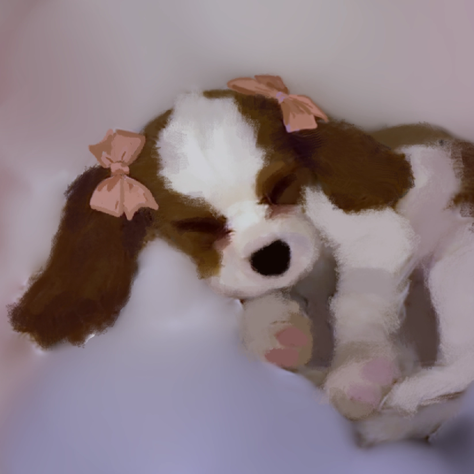 puppy@possums.gay