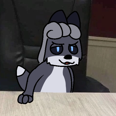 little grey fox in a chair