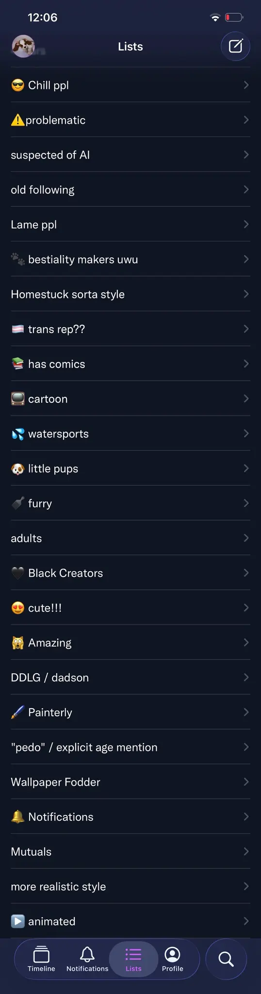 List of lists, including: 

Chill ppl
! problematic
suspected of Al
old following
Lame ppl
bestiality makers uwu
Homestuck sorta style
trans rep??
has comics
cartoon
watersports
little pups
furry
adults
Black Creators
cute!!!
Amazing
DDLG / dadson
Painterly
"pedo" / explicit age mention
Wallpaper Fodder
Notifications
Mutuals
more realistic style
animated