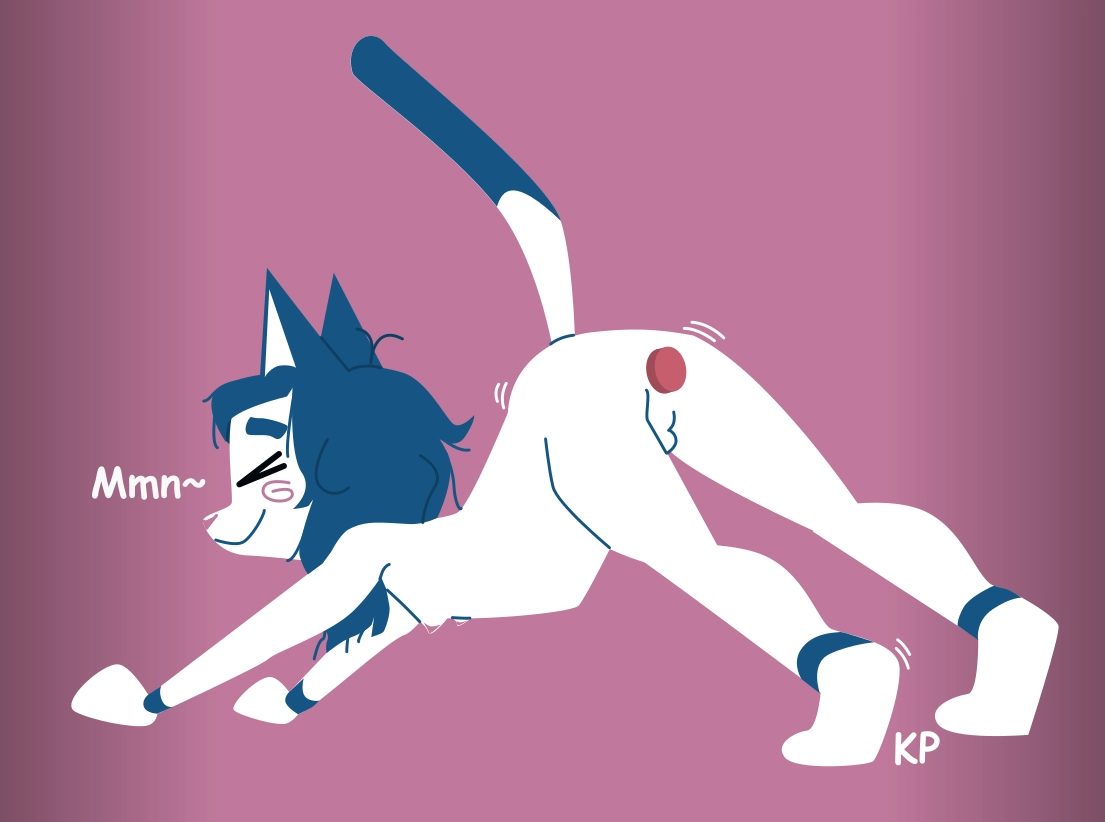blue and white kitten with a buttplug in and messy hair doing a biiig stretch