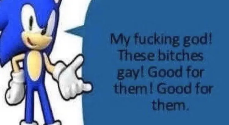 Sonic the Hedgehog, with a blue speech bubble: “My fucking god! These bitches gay! Good for them! Good for them.”