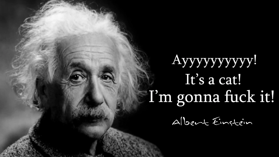 a totally legit quote from albert einstein that says "Ayyyyyyy! It's a cat! I'm gonna fuck it!" 