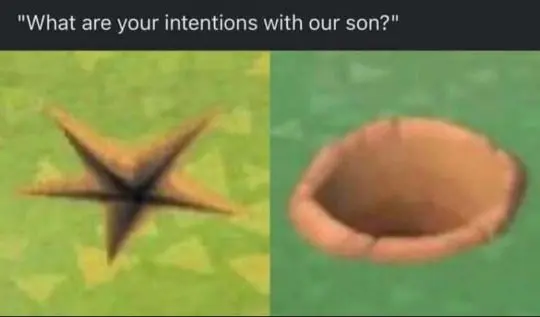 A sexually suggestive meme made from two screenshots from the Anima Crossing games. At the top is the caption "What are your intentions with our son?". On the left, a star shaped crevice on the ground that in the games, indicates a buried object requiring a shovel exists there. On the right, a hole dug into a different colored patch of ground, presumably after digging up an object.

The implication is the poster wishes to "dig a hole with their son". "Dig a hole" is in some cultures and various languages, slang for gay anal sex, and the star crevice sometimes is joked about as looking like an anus. The dug hole on the right also may resemble a gaping anus after very well endowed partners or toys.
